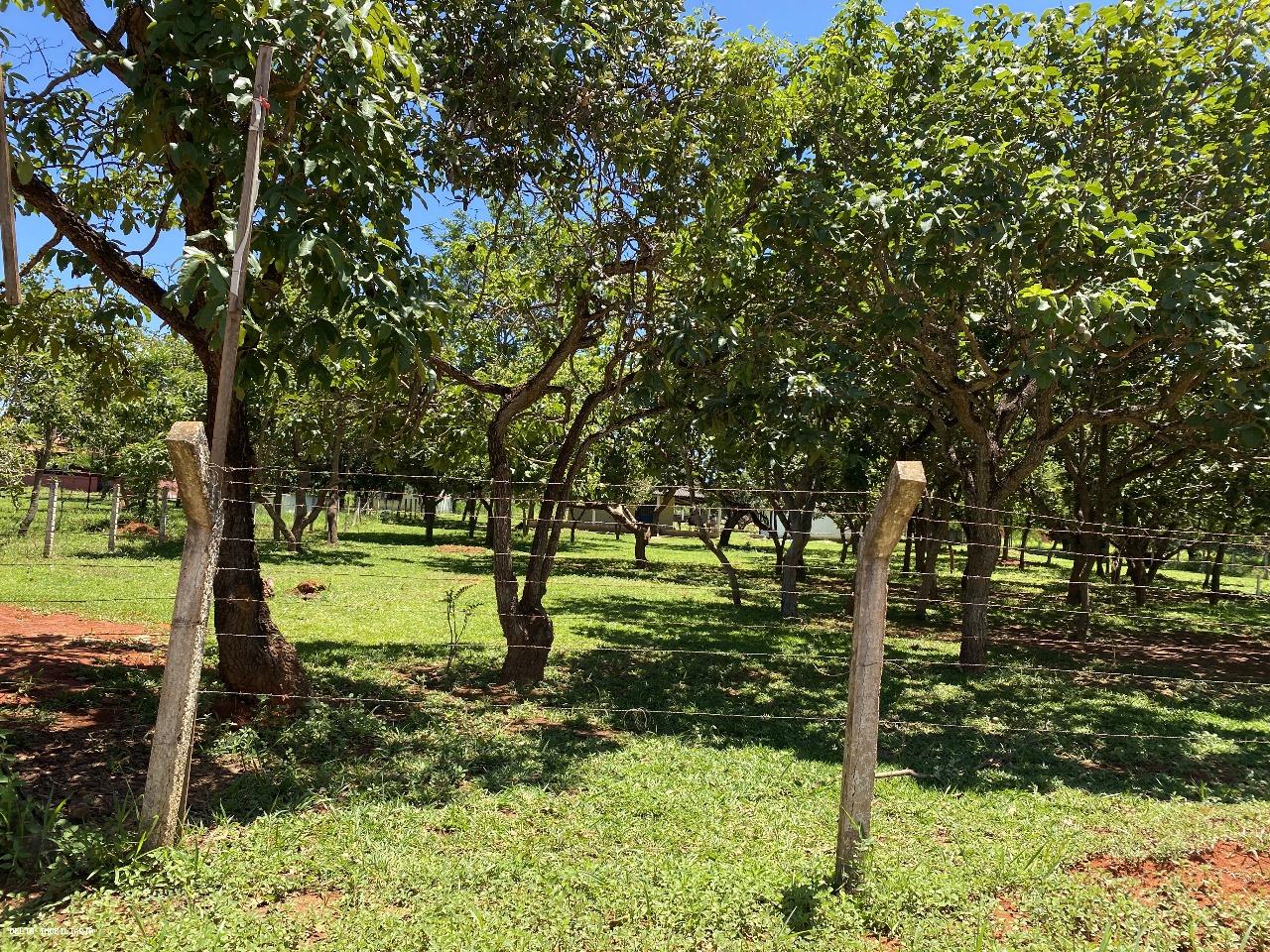 Chácara à venda, 5000m² - Foto 3