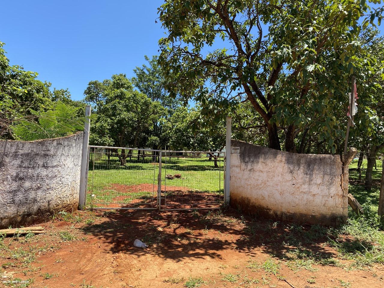 Chácara à venda, 5000m² - Foto 4