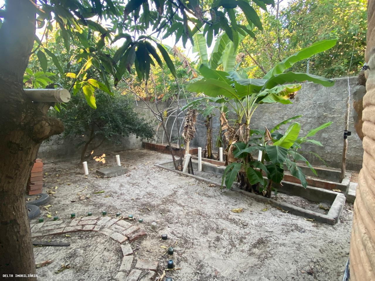 Casa, 4 quartos, 250 m² - Foto 6