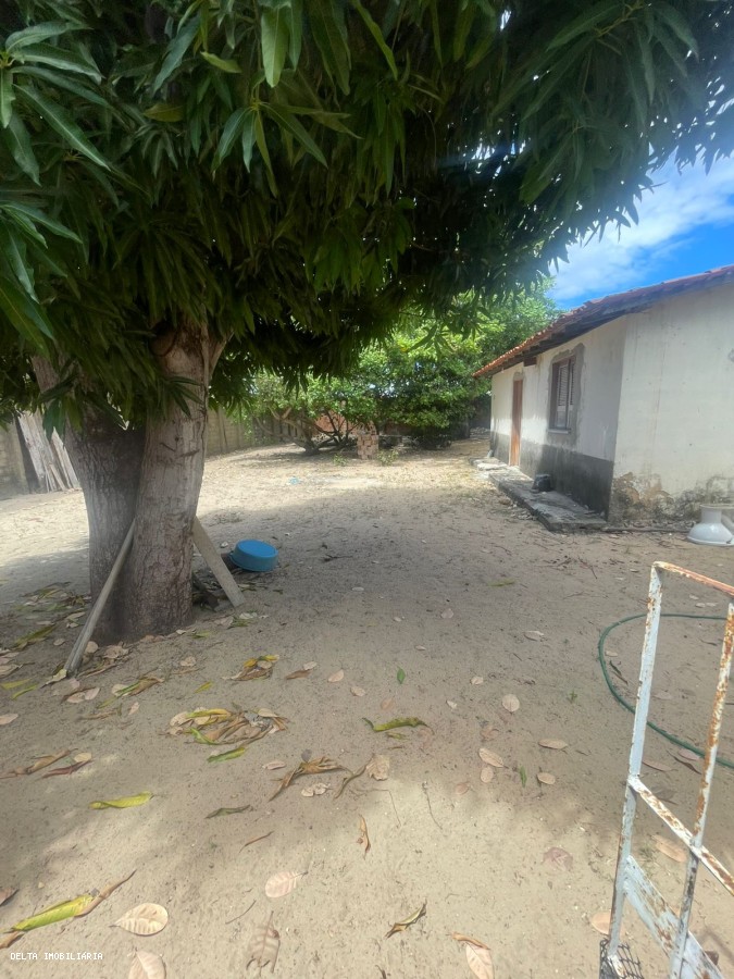 Casa, 3 quartos - Foto 15