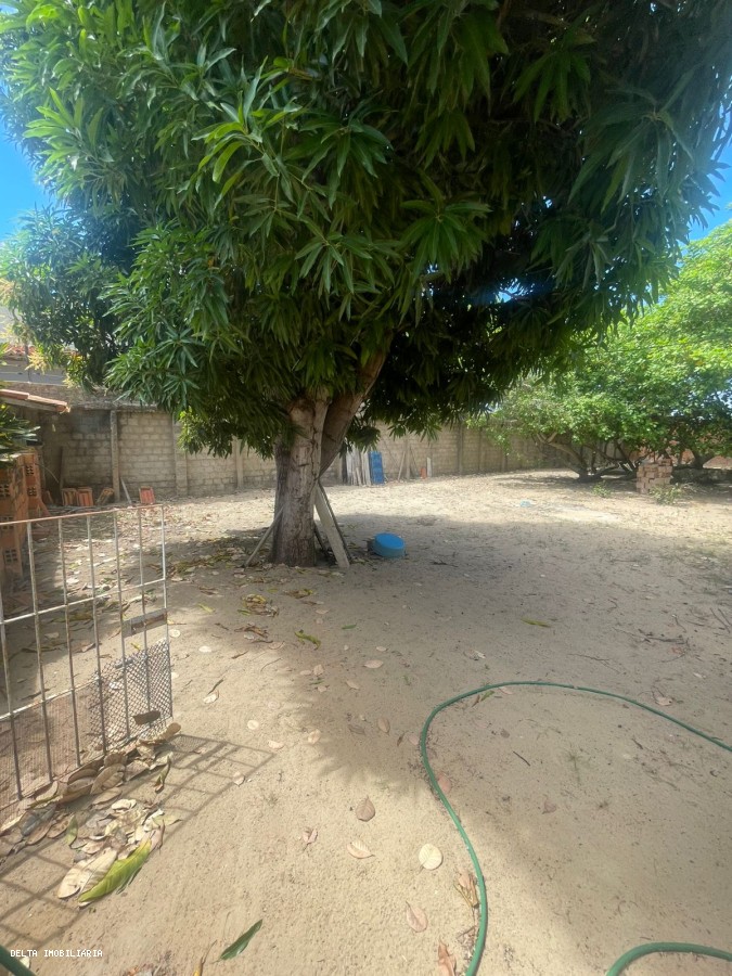 Casa, 3 quartos - Foto 13