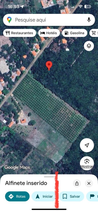 Terreno, 10000 m² - Foto 1