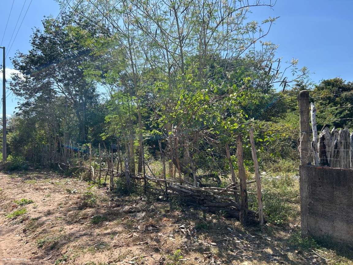 Terreno, 10000 m² - Foto 2