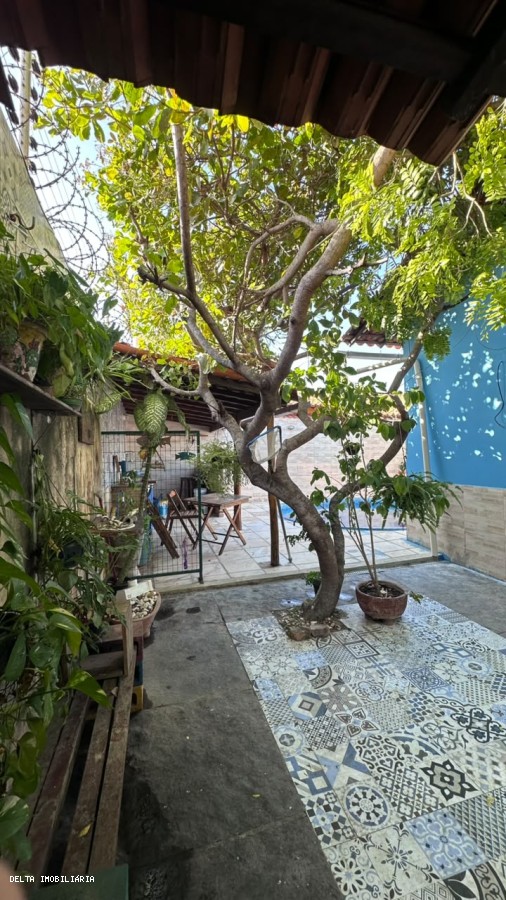 Casa, 3 quartos - Foto 20
