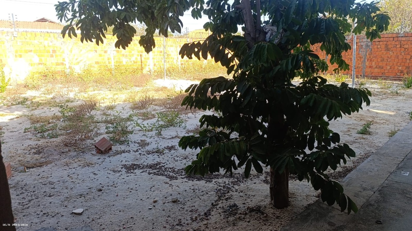 Terreno, 300 m² - Foto 3