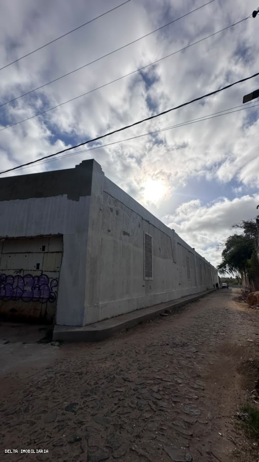 Depósito-Galpão - Foto 6