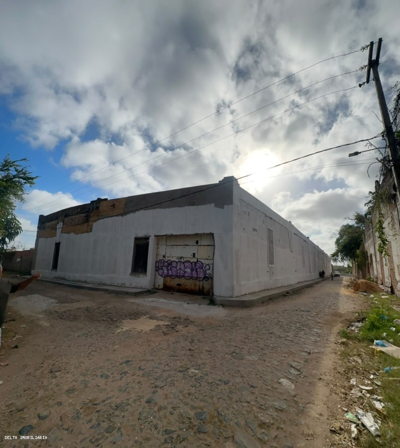Depósito-Galpão - Foto 7