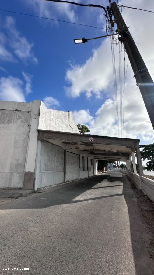 Depósito-Galpão - Foto 3