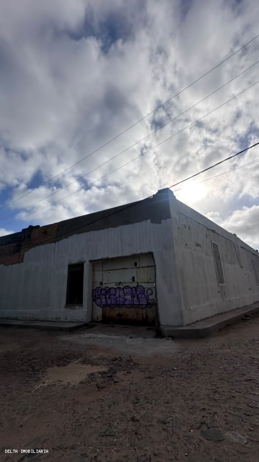 Depósito-Galpão - Foto 12